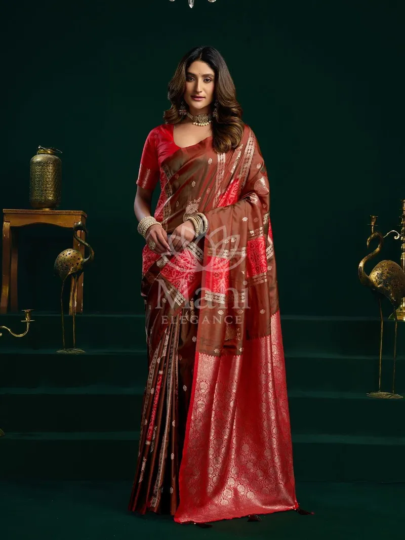 Red Banarasi Silk Saree, Zari Pumpum Weave — Banarasi