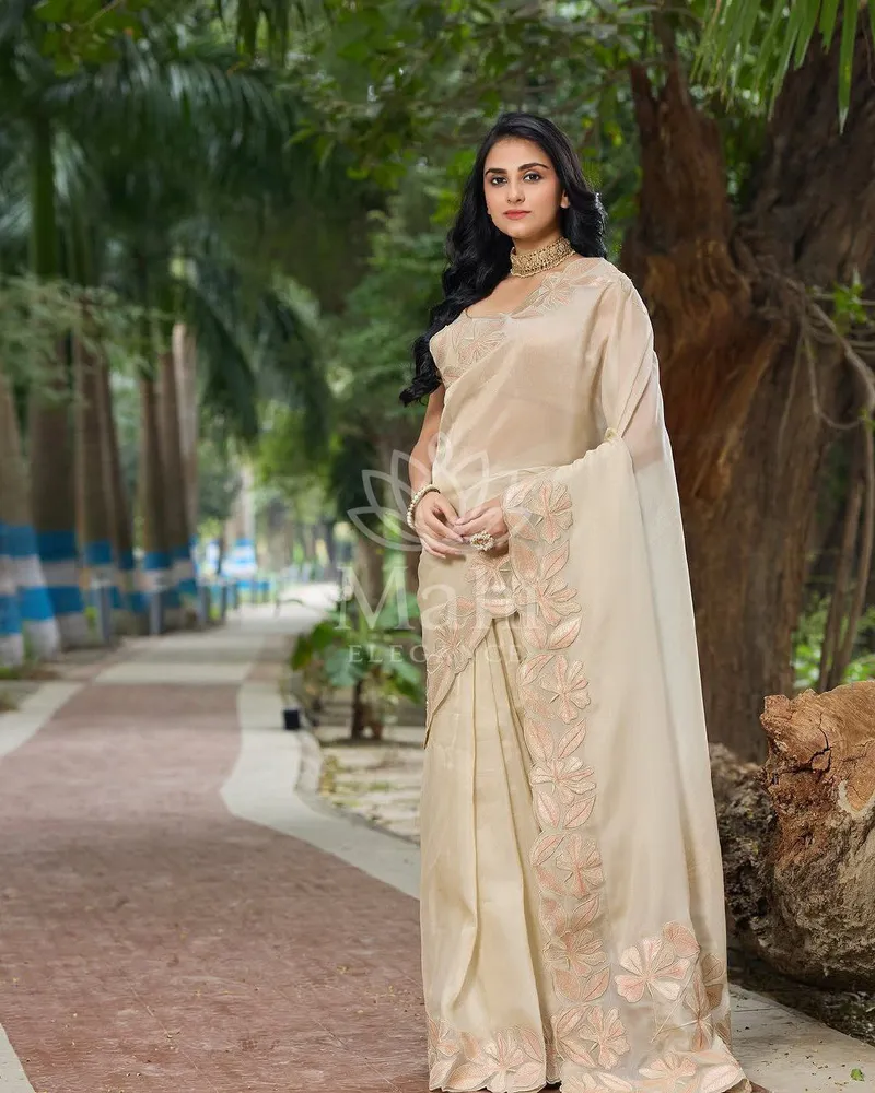 Beige Organza Silk Saree, Sequin Embroidery & Cutting Border — Organza