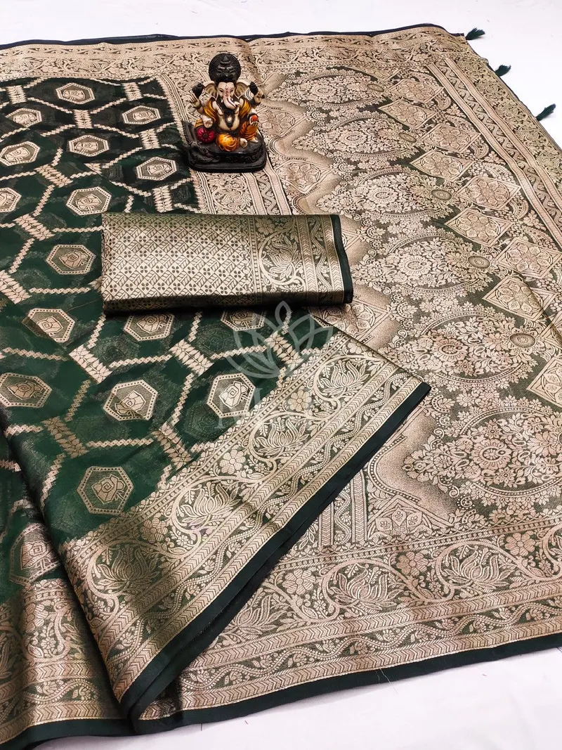 Green Organza Saree, Zari Weave — Organza