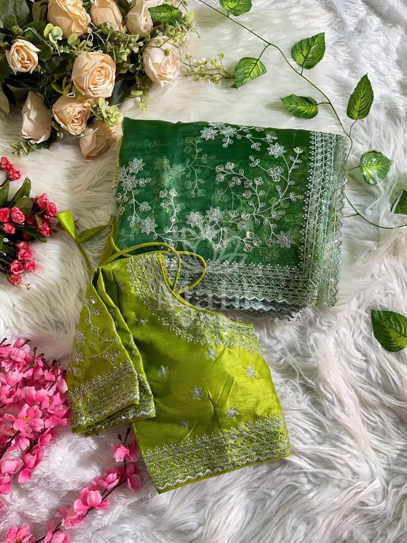 Multi Organza Silk Saree, Embroidery & Cutwork Border — Organza
